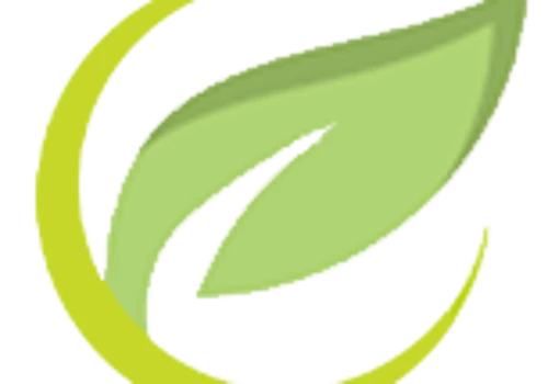 https://organicshopuae.com/