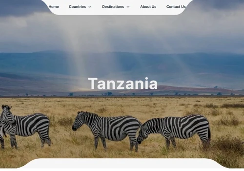 Luxury Safari Experiences Across East Africa