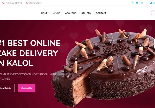 27skycake Website Development