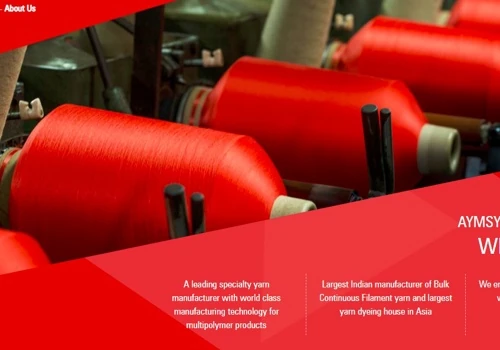 (client) AYM SYNTEX - Global textile leaders