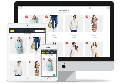 Ecommerce website Development