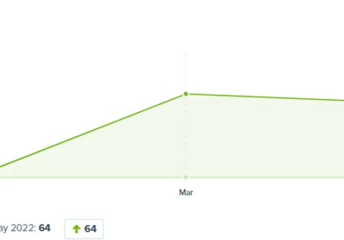Organic Search Growth and Leads Generation