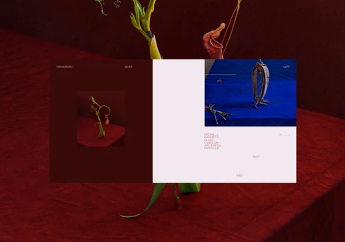 Dominik Tarabanski Gallery