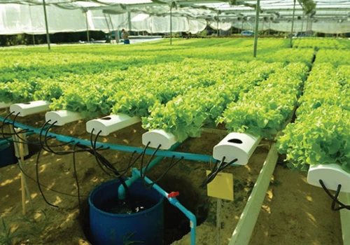 Remote Irrigation Solution on IoT