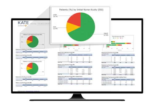AI Consulting for Healthcare Emergency Analytics