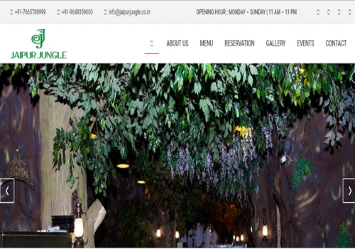 Jaipur Jungle