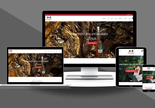 Snoremark - Website Development