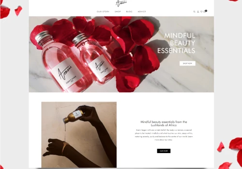 Arami Website Design