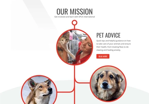 Nonprofit website design and development