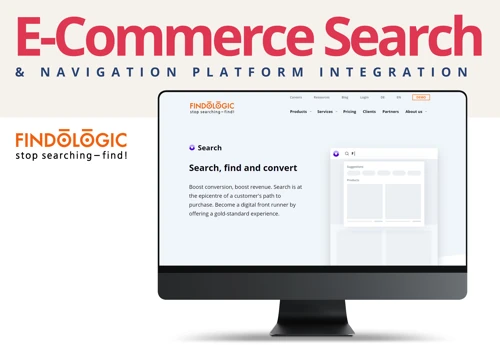 Custom Integration of AI-based E-Commerce Search P