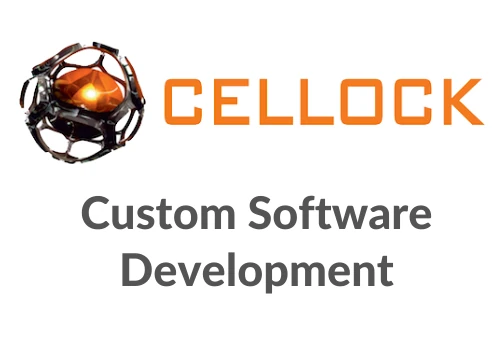Custom Software Development