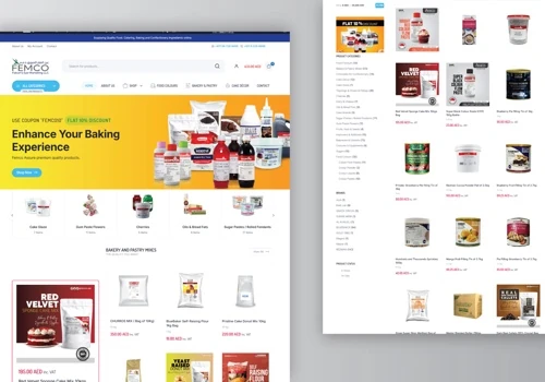 Femco Website Designing