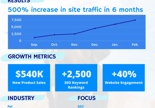 500% Increase in Site Traffic in 6 Months