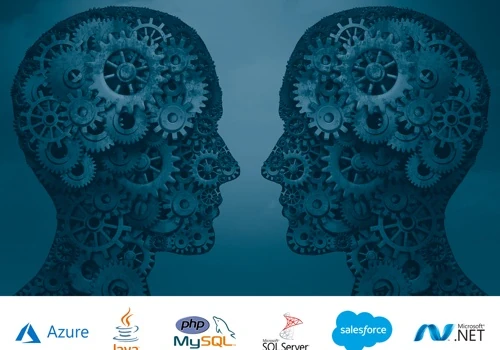 CASE STUDY: Salesforce Data Integration Service