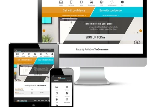 Customer Software Development for Tekcommerce