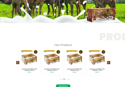 Web Design Services