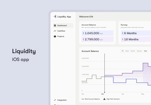 Financial Webapp