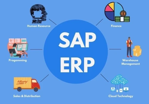 SAP ERP global template