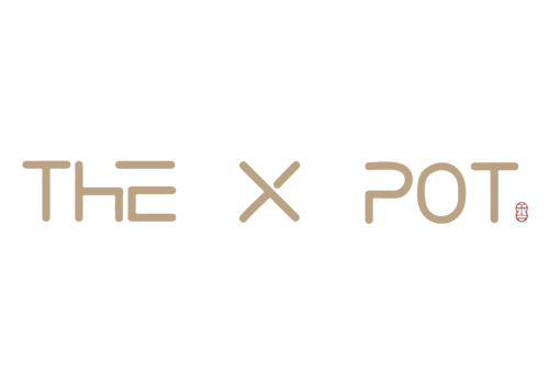 Digital Marketing for The X Pot