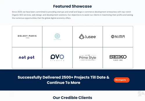 Blushing Technologies website