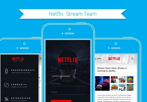 Netflix Stream Team
