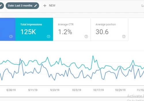 Organic SEO Results