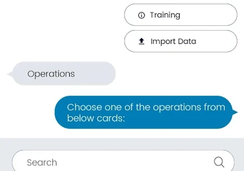 Chatbot Development
