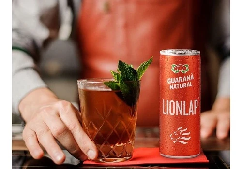 LionLap