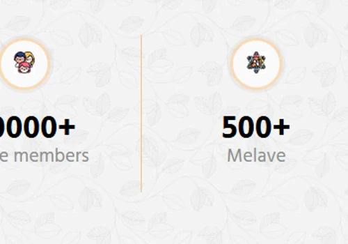High-End Web Development for Matrimonial Platform