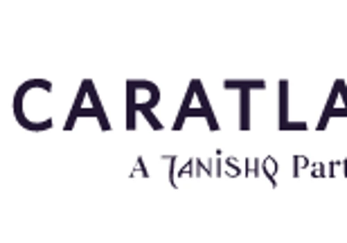 Helped launched a new e-commerce product