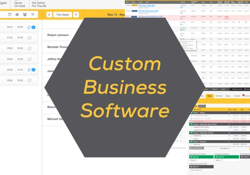 Custom Business Software
