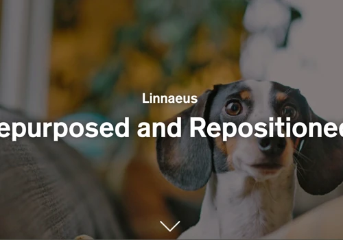 Rebranding Linnaeus Group
