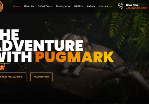 Pugmark Safari