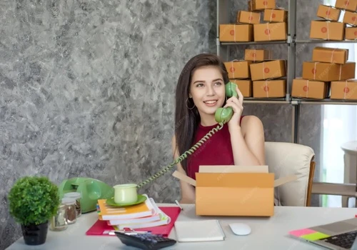 ShopEase Streamline E-Commerce Operations