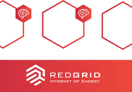Redgrid Front and back development