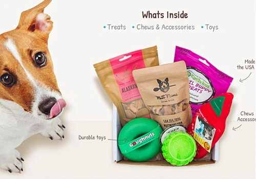 Dapper Dog Box