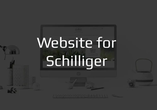 Website for Schilliger