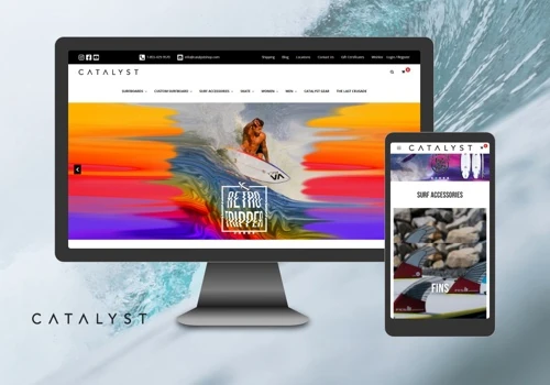 Client Focus: Catalyst