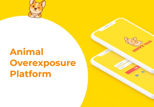 App Design and Branding