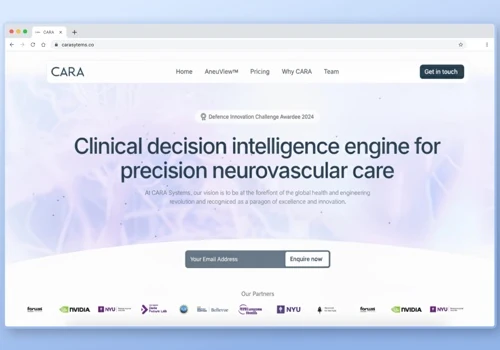Cara Systems, Website