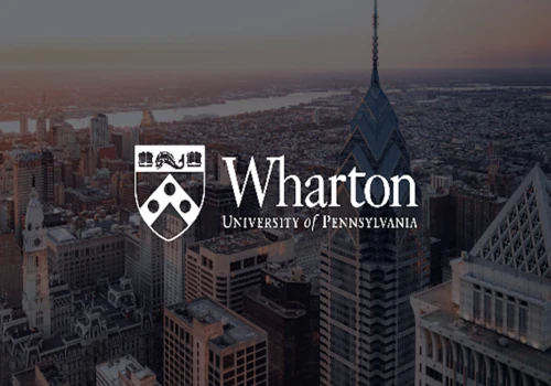 Web Development for Wharton