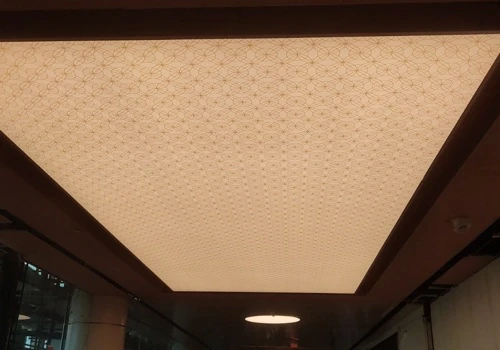 Printed Pattern Stretch Ceiling | MOPA