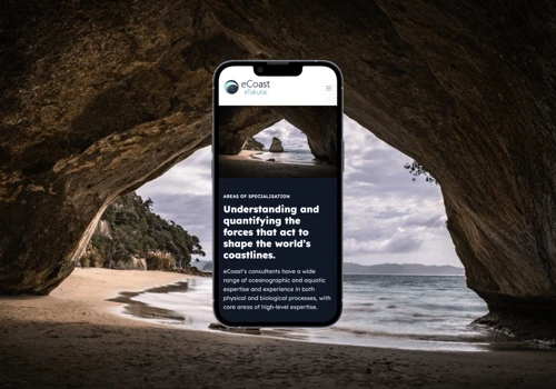 eCoast Webflow Website Build