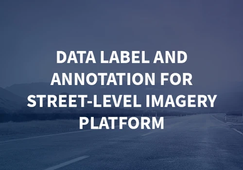 Data label and annotation for Street-level imagery platform