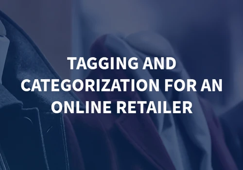 Tagging and categorization for an online retailer
