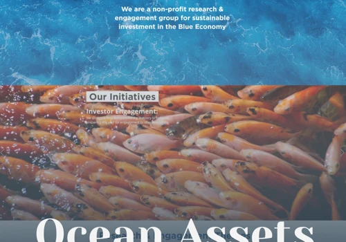 Ocean Assets Corporate Website made on Wix