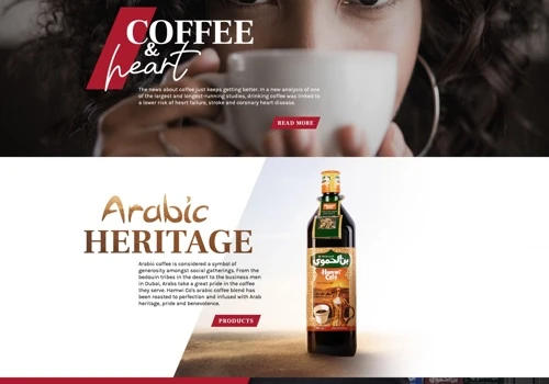Al-Hamvi Website Design & Development