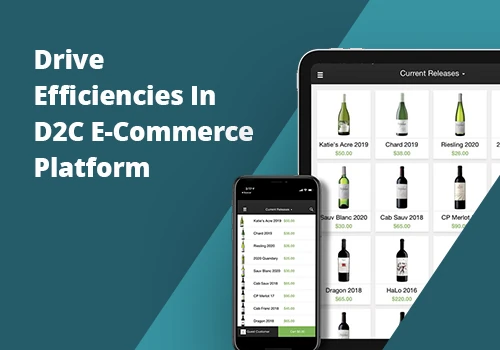 Drive Efficiencies In D2C E-Commerce Platform