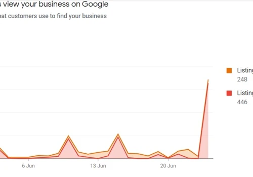 Google Map & Search Result Performance