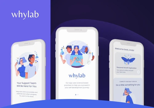 UX Design of a Personal Development Platform